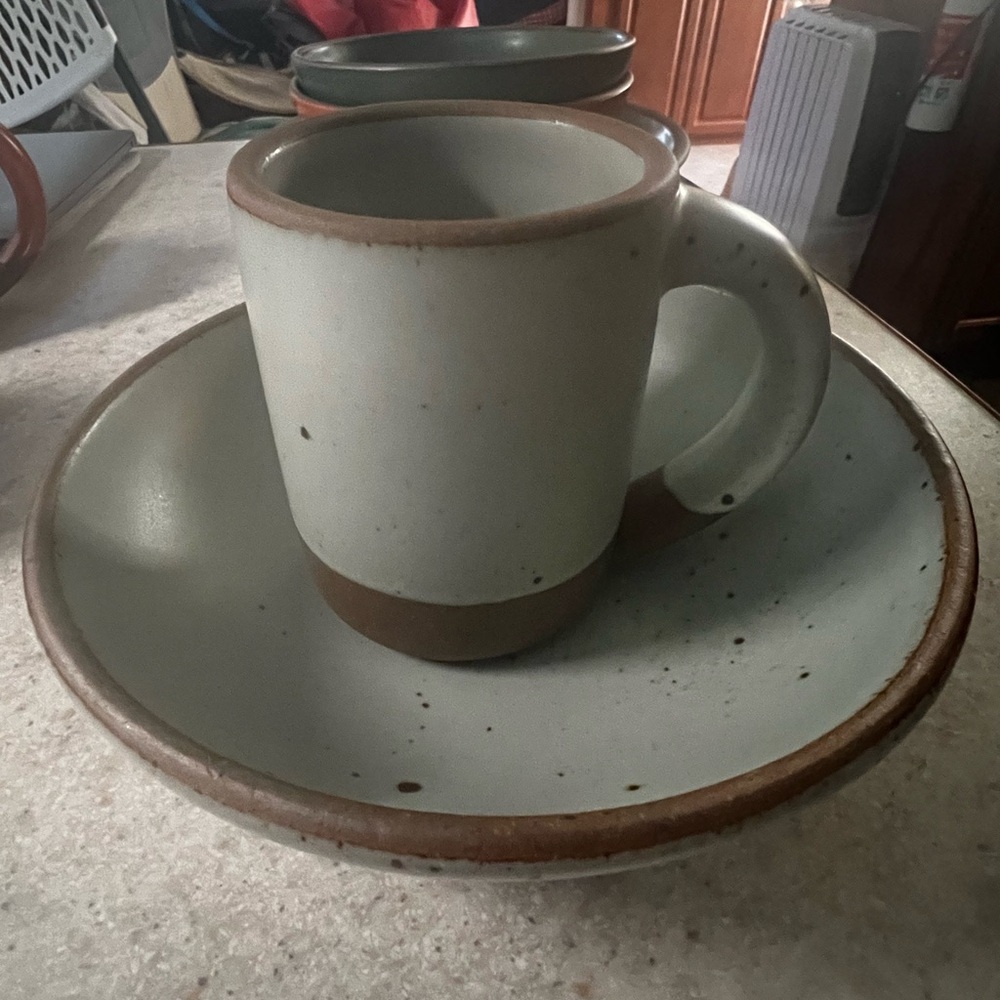 East Fork Pottery Soapstone Mug & Everyday Bowl Super speckles SET